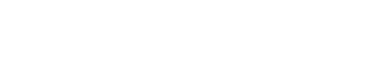 World-Class Quality, Fast & Reliable Support